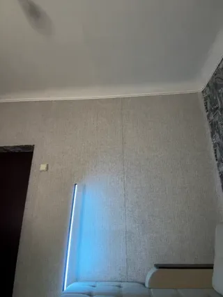 _evo4ka_