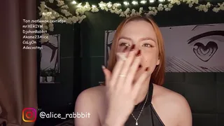 alicerabbit