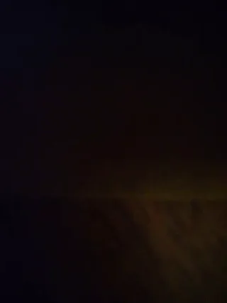 cybersiren