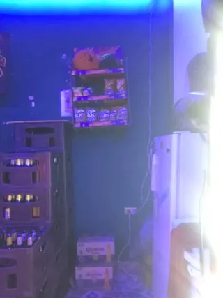 kattylatina
