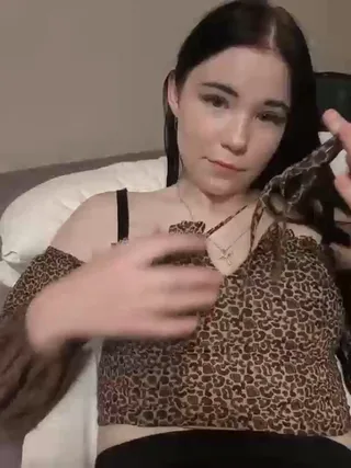 kittydream_x