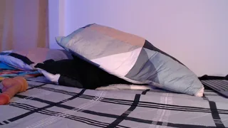 littlekayla