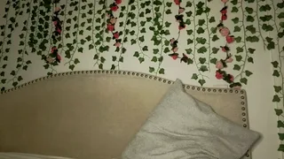 xoxcat
