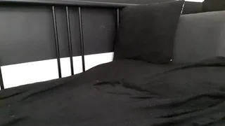 apollobest77