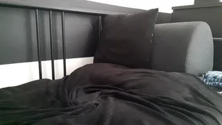 apollobest77