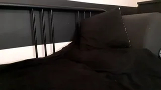 apollobest77