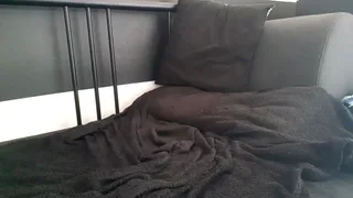 apollobest77