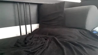 apollobest77