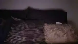 bigdicktrannynicole