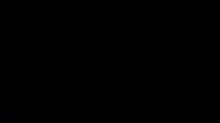 butteflai