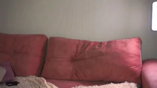 ceceliapidcock