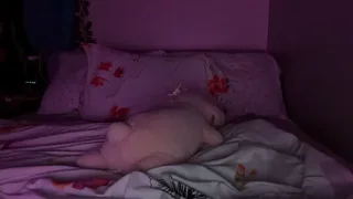 chrissylovexoxo