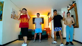 gnecos