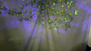 herkinkyfantasy