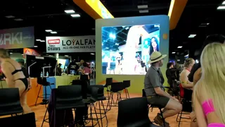 lexi_luv