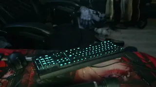 lexxa_tgirl