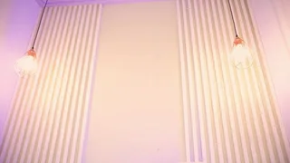 lila_cohen