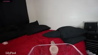 lilypixel