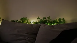 lunanoxs