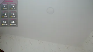 merida_bell18