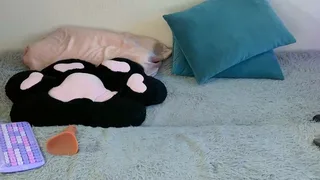 missclairdelune