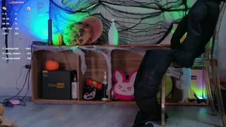 mollyflwers