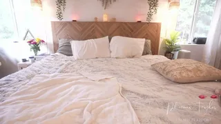 phoenix_taylor