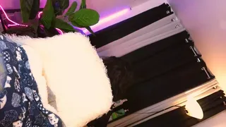 sassa_lilly