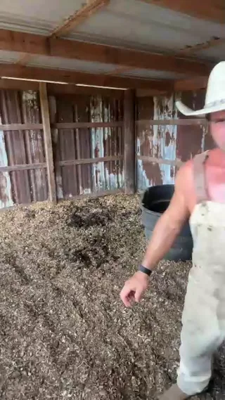 snacksmaster