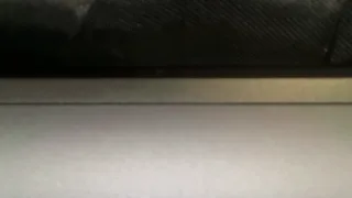 therealferrarii