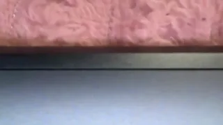 therealferrarii