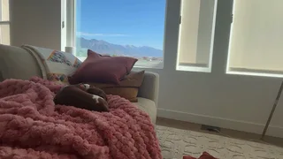 tinytayy