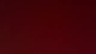 tyler_fox0