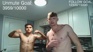 zebrasandgazelles