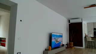 ababab1