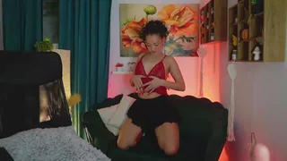 alexa_grey_