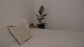 alexablancoh