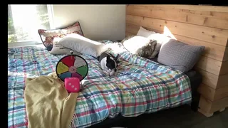 purrtymetal