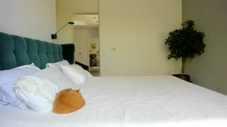 serendypity