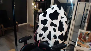 zephyraobs